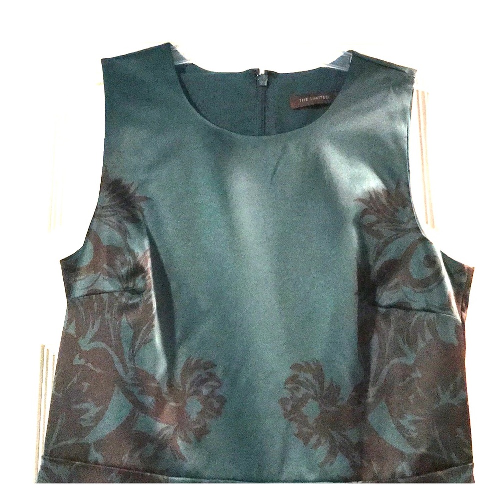 The Limited Green Dress Size 8